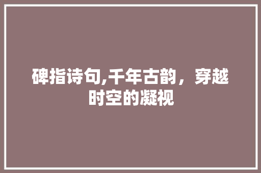 碑指诗句,千年古韵，穿越时空的凝视