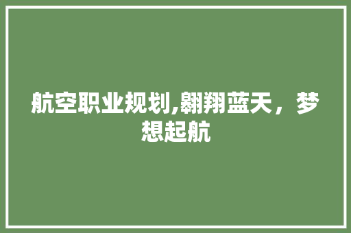 航空职业规划,翱翔蓝天，梦想起航