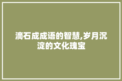 滴石成成语的智慧,岁月沉淀的文化瑰宝