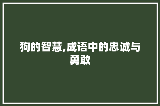 狗的智慧,成语中的忠诚与勇敢