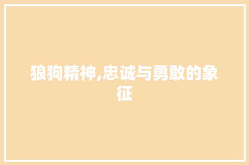 狼狗精神,忠诚与勇敢的象征