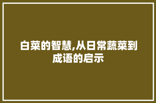 白菜的智慧,从日常蔬菜到成语的启示