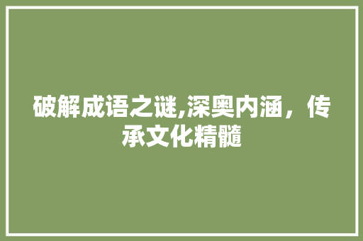 破解成语之谜,深奥内涵，传承文化精髓