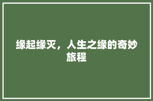 缘起缘灭，人生之缘的奇妙旅程