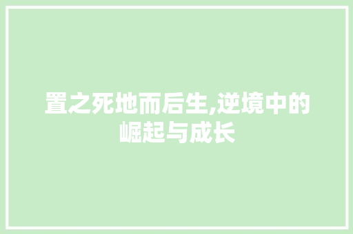 置之死地而后生,逆境中的崛起与成长