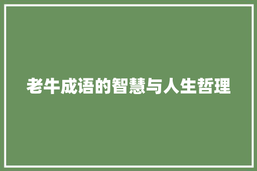 老牛成语的智慧与人生哲理