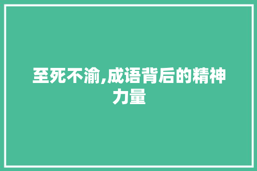 至死不渝,成语背后的精神力量
