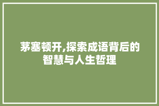 茅塞顿开,探索成语背后的智慧与人生哲理