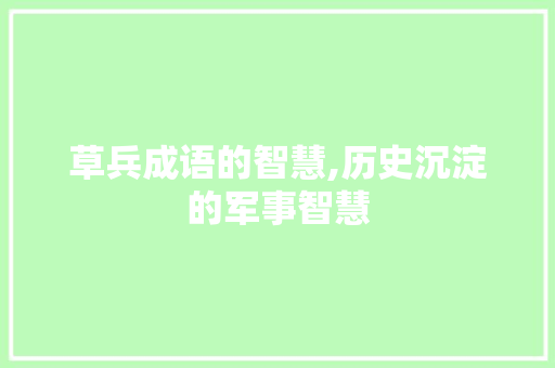 草兵成语的智慧,历史沉淀的军事智慧