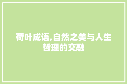 荷叶成语,自然之美与人生哲理的交融