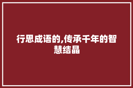 行思成语的,传承千年的智慧结晶