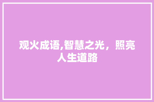 观火成语,智慧之光，照亮人生道路
