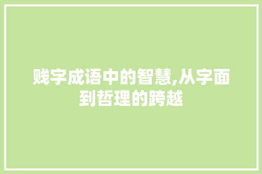 贱字成语中的智慧,从字面到哲理的跨越