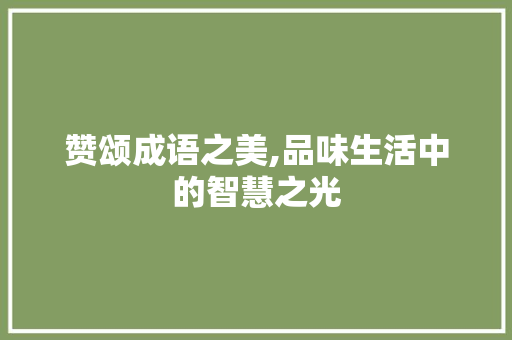 赞颂成语之美,品味生活中的智慧之光