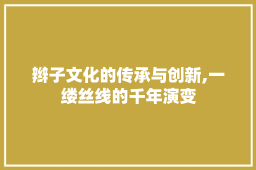 辫子文化的传承与创新,一缕丝线的千年演变