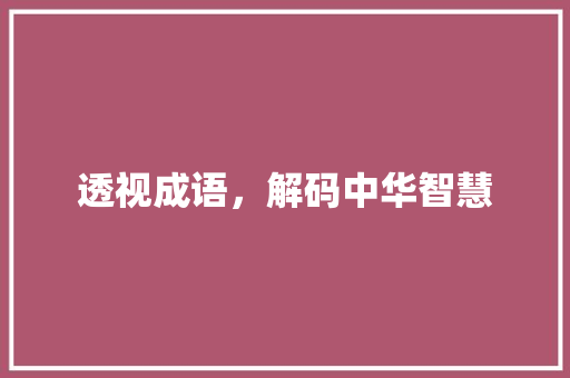 透视成语，解码中华智慧