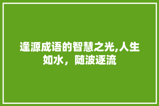 逢源成语的智慧之光,人生如水，随波逐流