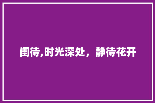 闺待,时光深处，静待花开
