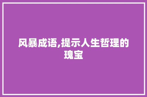 风暴成语,提示人生哲理的瑰宝