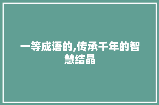 一等成语的,传承千年的智慧结晶