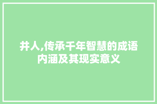 井人,传承千年智慧的成语内涵及其现实意义