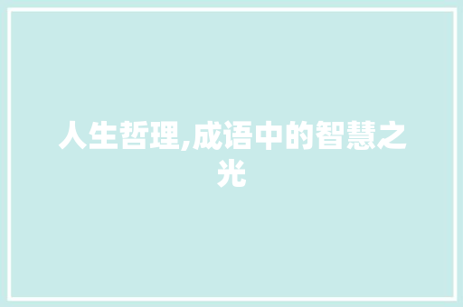 人生哲理,成语中的智慧之光