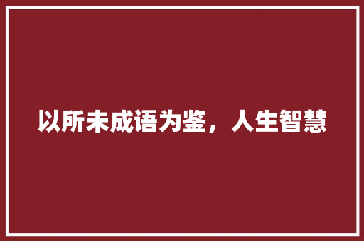 以所未成语为鉴，人生智慧