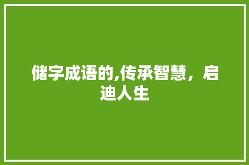储字成语的,传承智慧，启迪人生