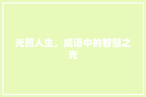 光照人生，成语中的智慧之光