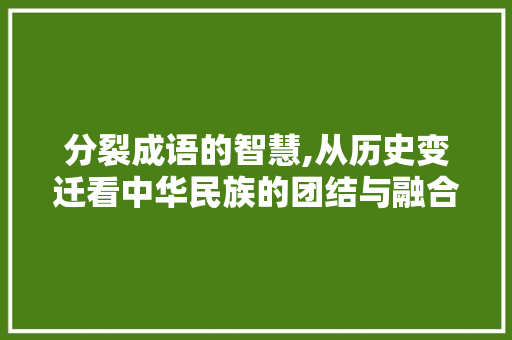 分裂成语的智慧,从历史变迁看中华民族的团结与融合