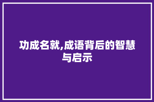功成名就,成语背后的智慧与启示