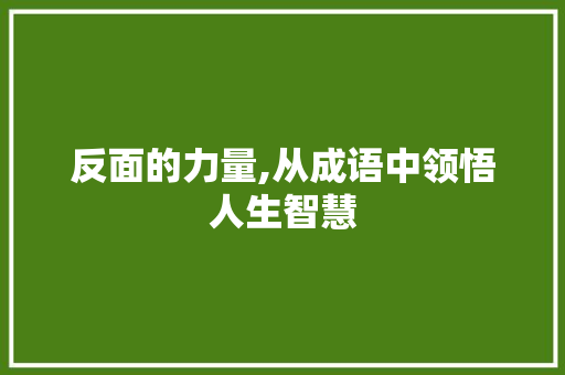 反面的力量,从成语中领悟人生智慧