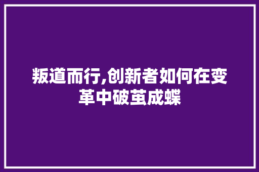 叛道而行,创新者如何在变革中破茧成蝶