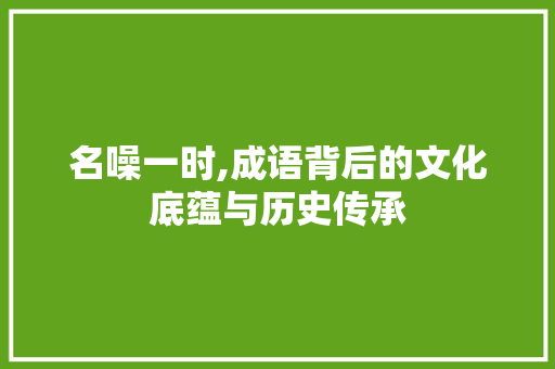 名噪一时,成语背后的文化底蕴与历史传承