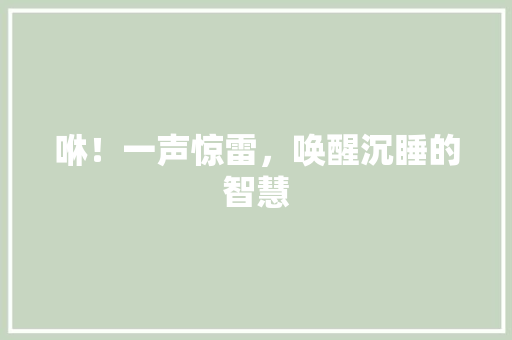 咻！一声惊雷，唤醒沉睡的智慧