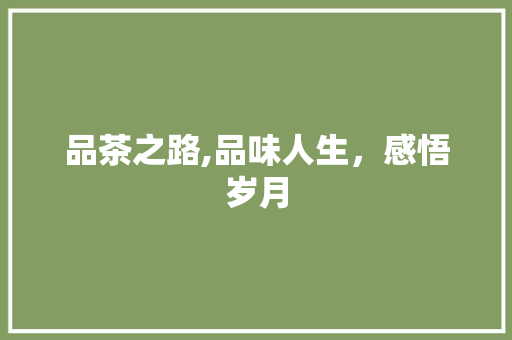 品茶之路,品味人生，感悟岁月