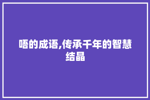 唔的成语,传承千年的智慧结晶