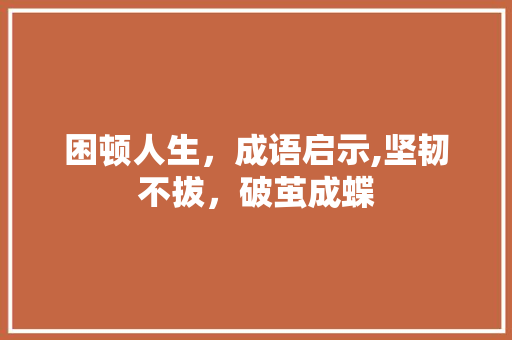困顿人生，成语启示,坚韧不拔，破茧成蝶