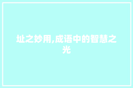 址之妙用,成语中的智慧之光
