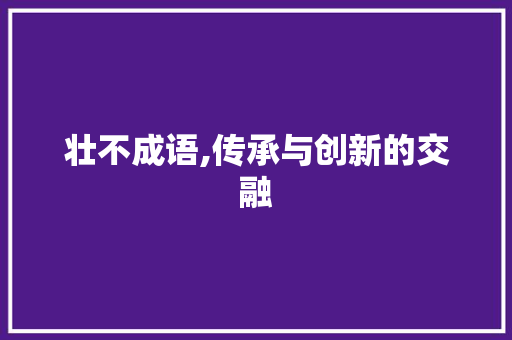 壮不成语,传承与创新的交融