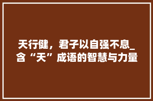 天行健，君子以自强不息_含“天”成语的智慧与力量