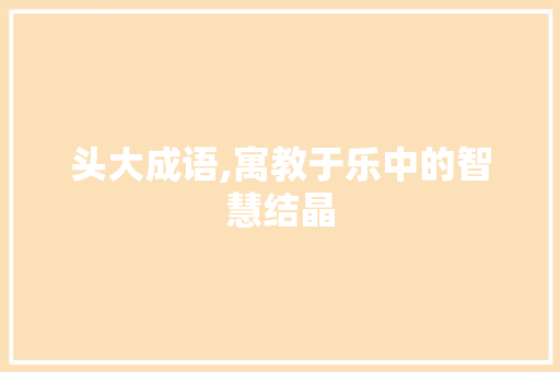 头大成语,寓教于乐中的智慧结晶