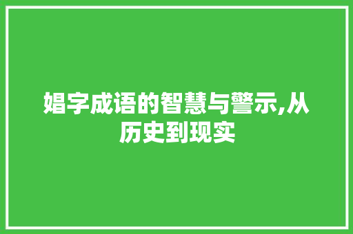 娼字成语的智慧与警示,从历史到现实