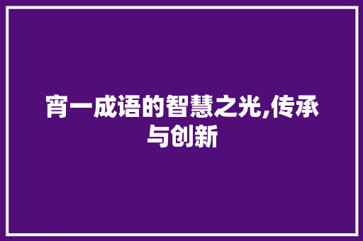 宵一成语的智慧之光,传承与创新