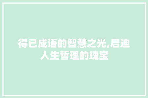 得已成语的智慧之光,启迪人生哲理的瑰宝