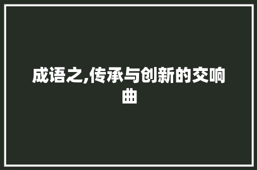 成语之,传承与创新的交响曲