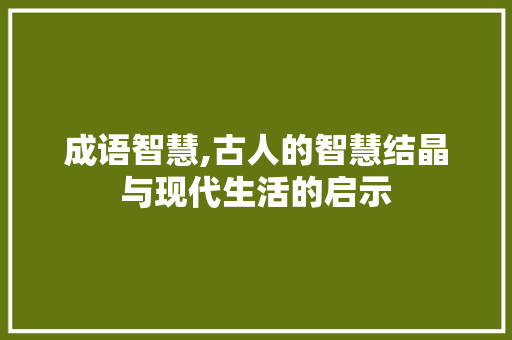 成语智慧,古人的智慧结晶与现代生活的启示