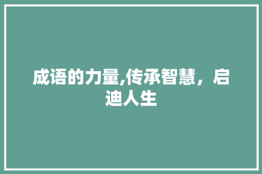 成语的力量,传承智慧，启迪人生
