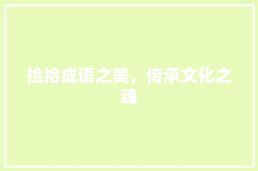 捡拾成语之美，传承文化之魂