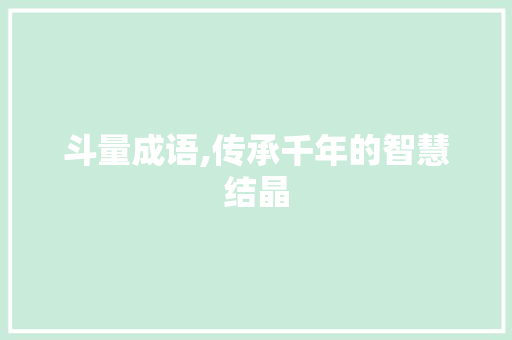 斗量成语,传承千年的智慧结晶